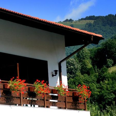 Spa Hotel Planinata Ribarica Bilik gambar
