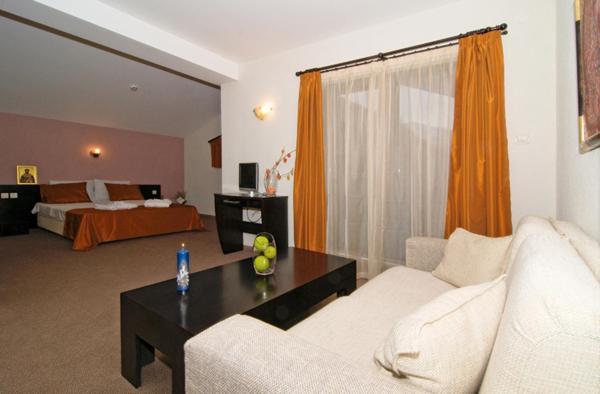 Spa Hotel Planinata Ribarica Bilik gambar